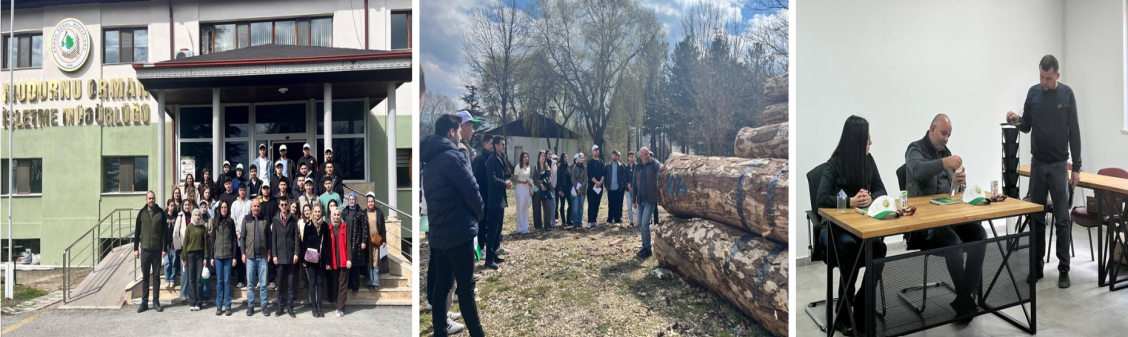 Ormancılık haftası etkinlikleri...